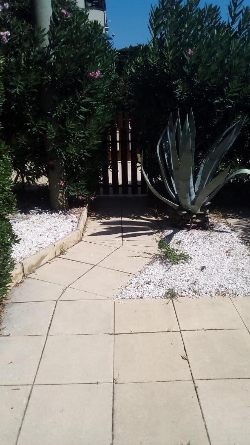 Studio De 27 M² + 70 M² De Jardin A 100 M Des Plages Cavalaire-sur-Mer Exterior foto